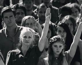 signofmockingjay