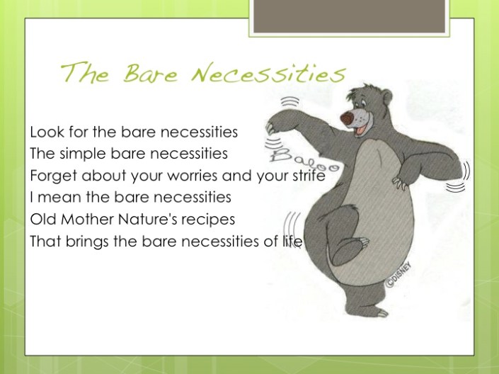 bare-necessities